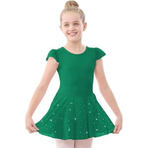 Stelle Ballet Leotards for Girls Dance Leotard with Skirt Toddler Pink Ballet Outfit Ruffle Sleeve Kids Dance Dress(1-green(shiny Skirt))
